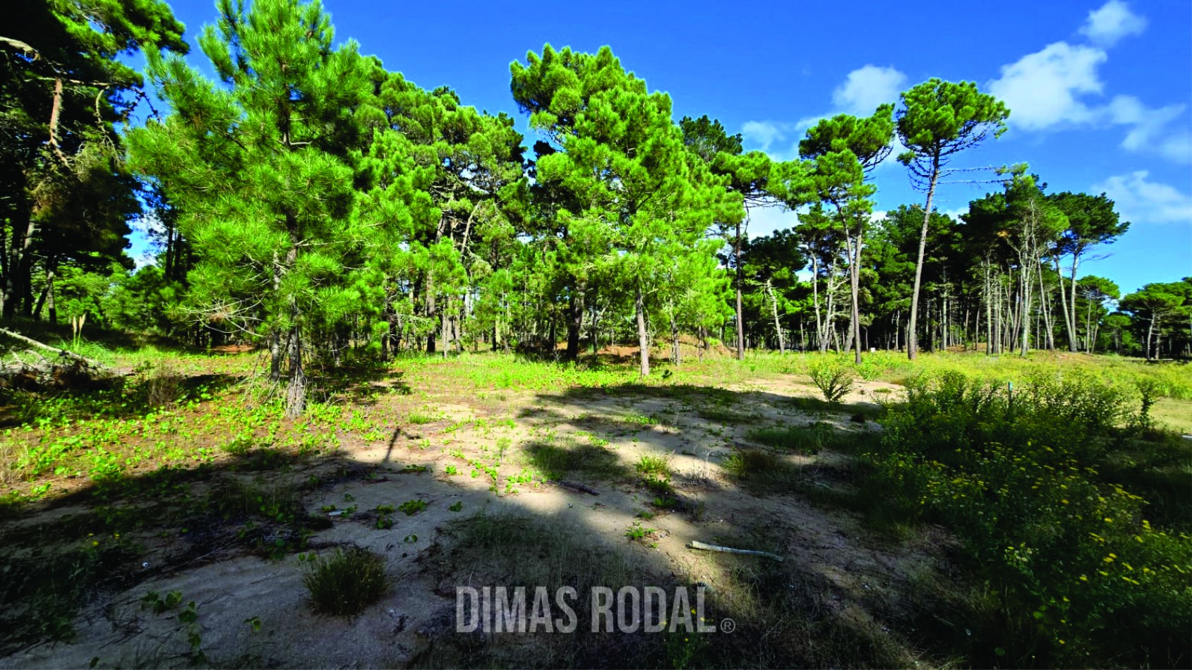 Lote en Venta Barrio Bosques Pinamar