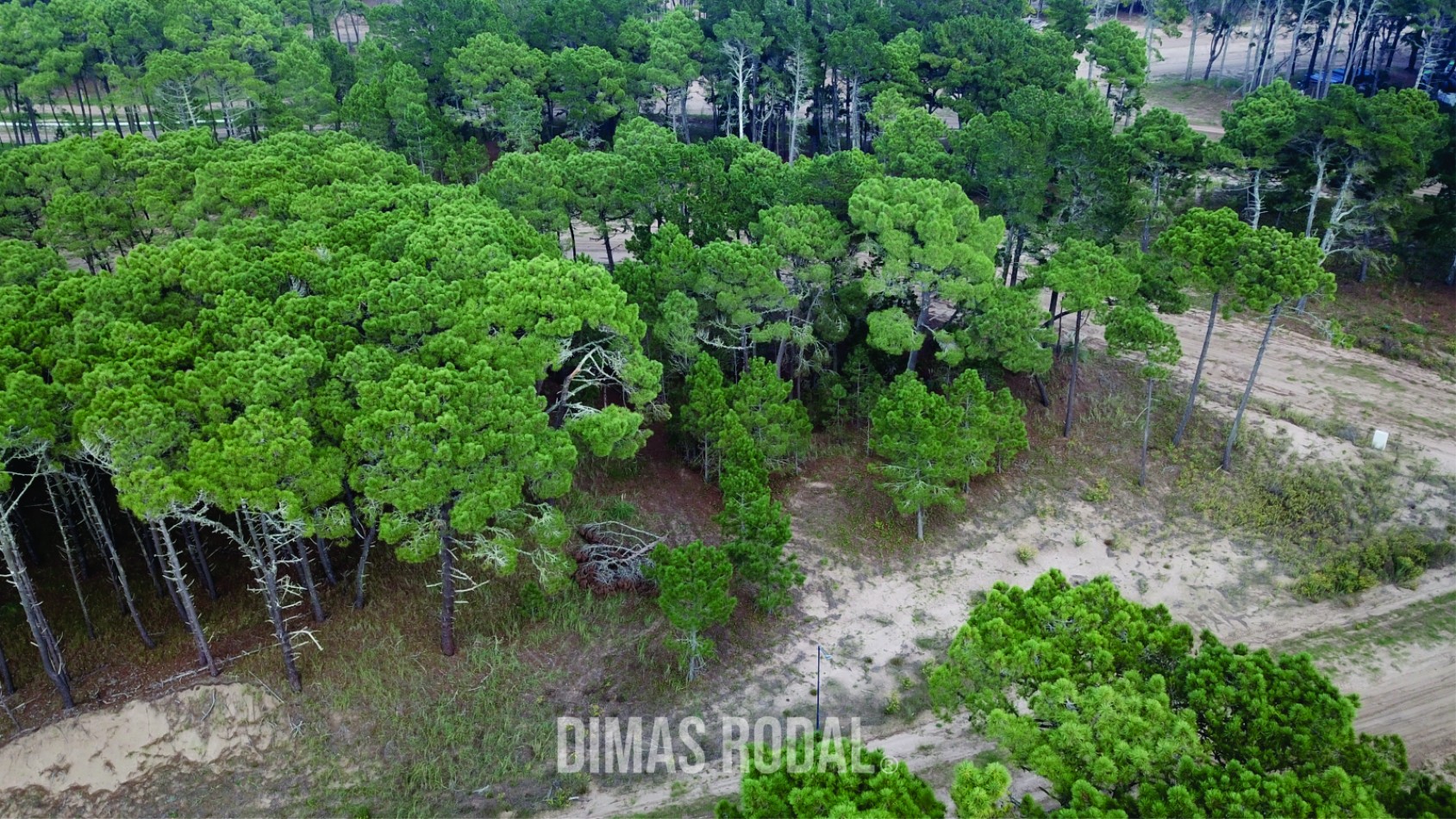 Lote en Venta Barrio Bosques Pinamar