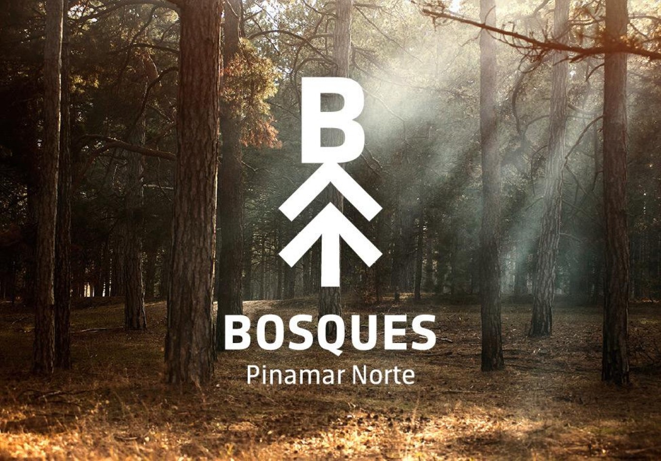 OPORTUNIDAD Lote en Venta Barrio Bosques Pinamar