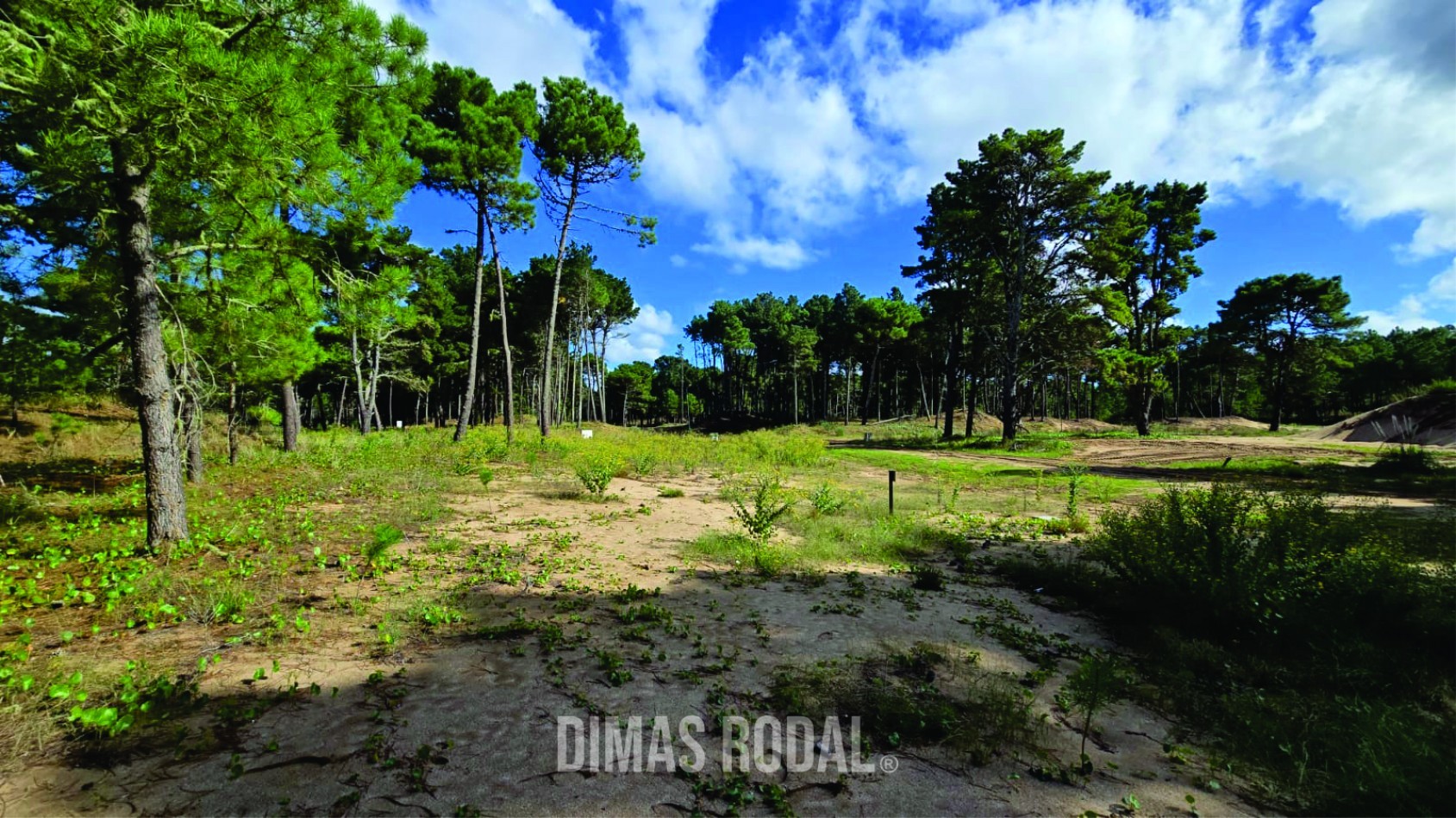 OPORTUNIDAD Lote en Venta Barrio Bosques Pinamar