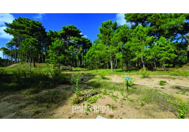 Lote en Venta Barrio Bosques Pinamar